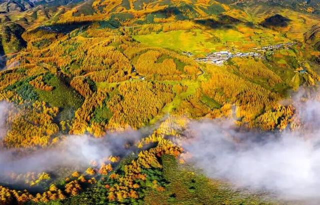 冬季暖阳 凉山不凉 | 彩林与暖阳的双向奔赴