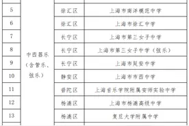 新增19所！2025-2027上海中考艺术骨干学生“一条龙”高中学校名单公示图片