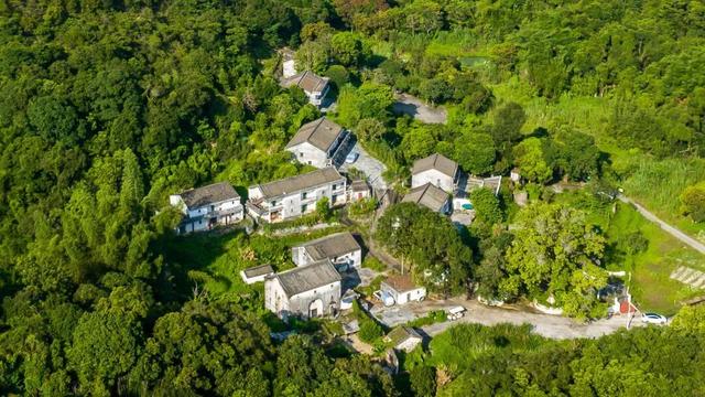 南方观察｜不止滨海民宿，深圳正在生长“山居民宿带”