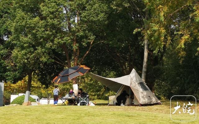 “晚了就没好位子了！” 合肥晴好周末上演露营“抢位战”