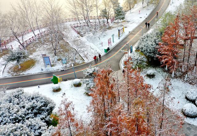 安徽涡阳雪后美景
