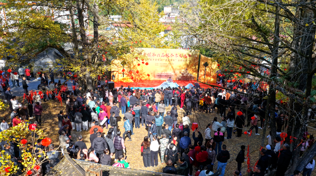 人从众嗨翻全场！带你直击大田广平银杏孝文化节～