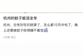 浙江姑娘上班意外发现！多地网友抓狂：家里怎么还有？根本睡不着图片