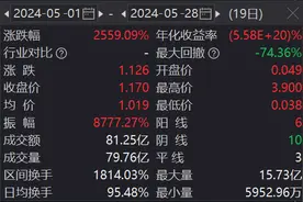 股价大涨超25倍！公司：可能永远无法盈利图片