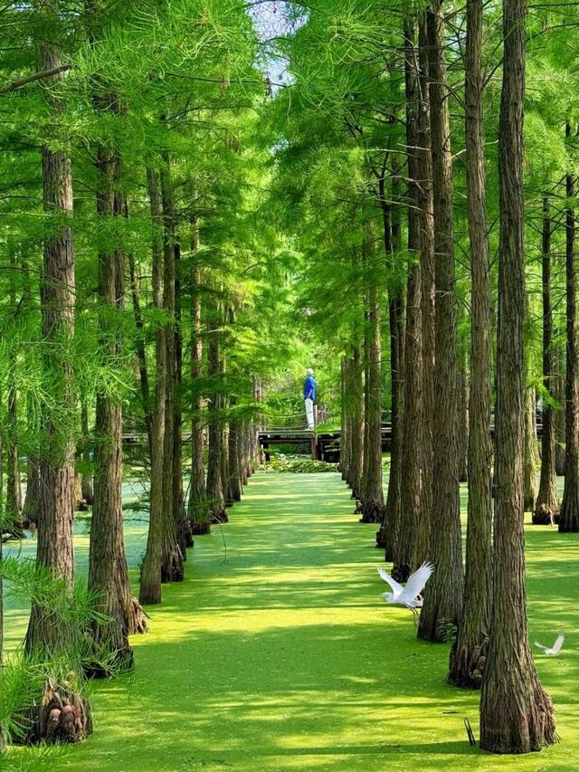 来六合，过个惬意的夏天！
