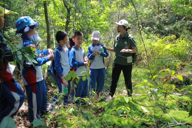 鼎湖山研学爆单了！已超3.8万人打卡