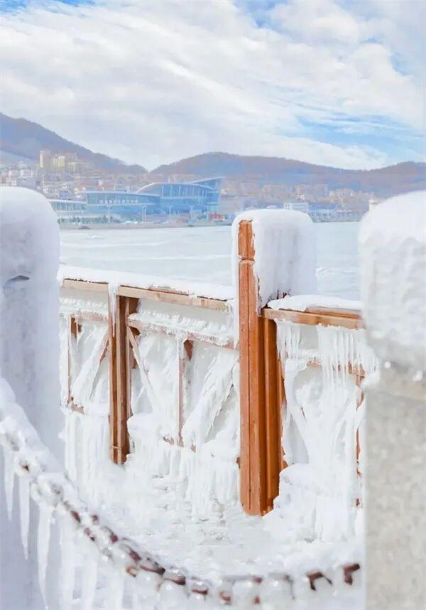 乘着高铁游威海 | 下一站，环翠！