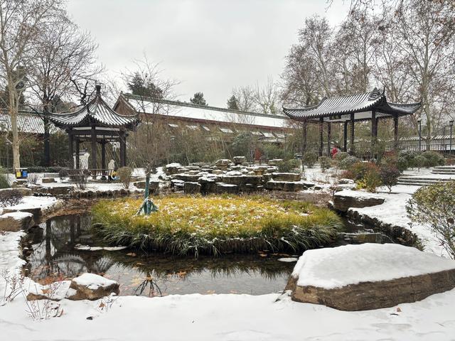 初雪覆城 “碧沙”入画