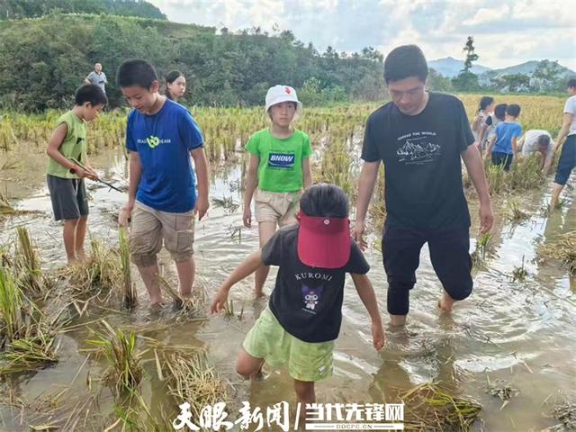 千米高山  黔予乐稻！成都亲子团深入黔东南体验原生态古法农耕