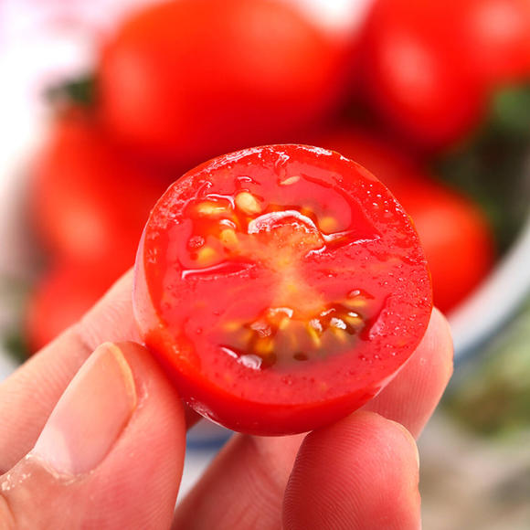 赏花撸萌宠、水果采摘、围炉煮茶……来珠海这里跨年，太精彩！
