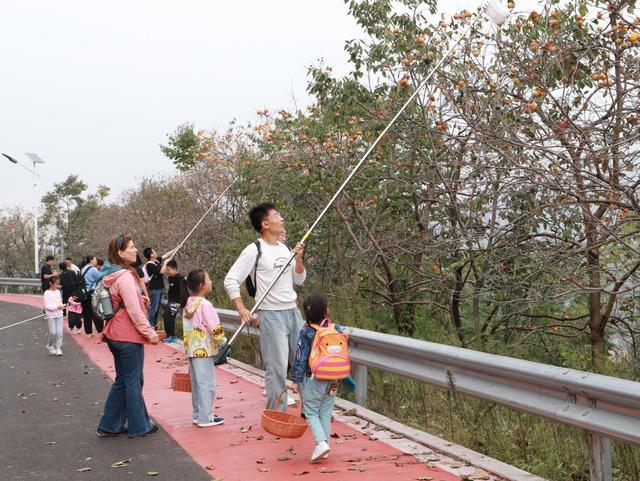 这里是青岛｜日最大接待量突破7000人！网红村“后石沟”十一假期再出圈