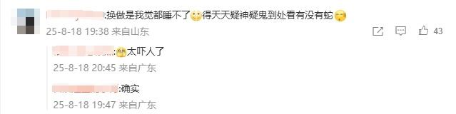 云南一对夫妻旅游回来差点吓傻，客厅爬满了蛇！源头竟是家中的……很多人都爱买