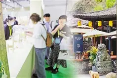 茶和咖啡，谁会赢？图片
