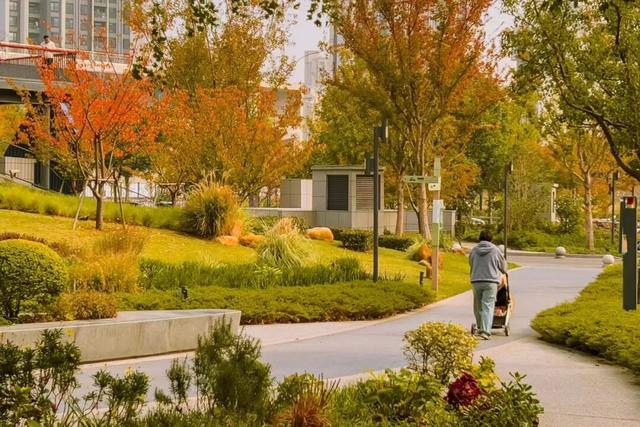 秋冬限定的普陀，美到让人流连忘返，你还不来打卡吗？