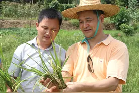 2023年度福建省科学技术奖揭晓 福州109项科技成果获奖图片