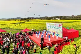 渌口区千亩油菜花海引客来图片