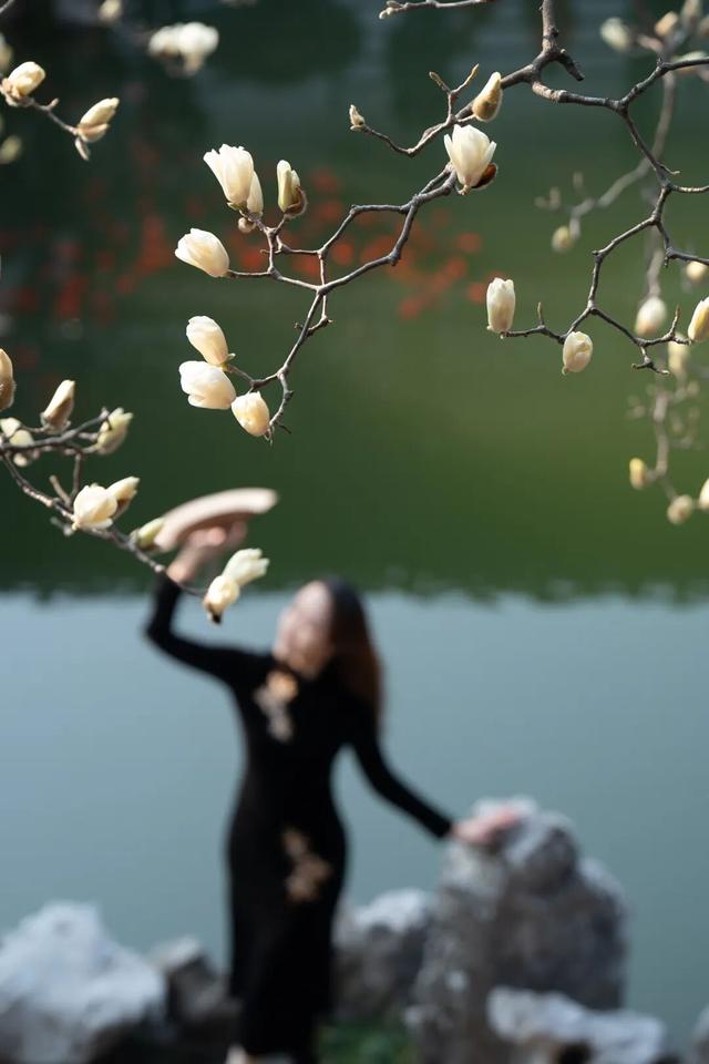 四时天工 扬州如画