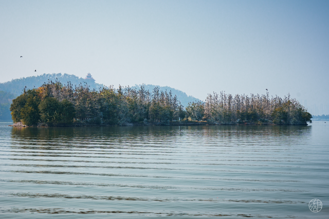 送票｜12月来东湖这样玩，嗨翻了！