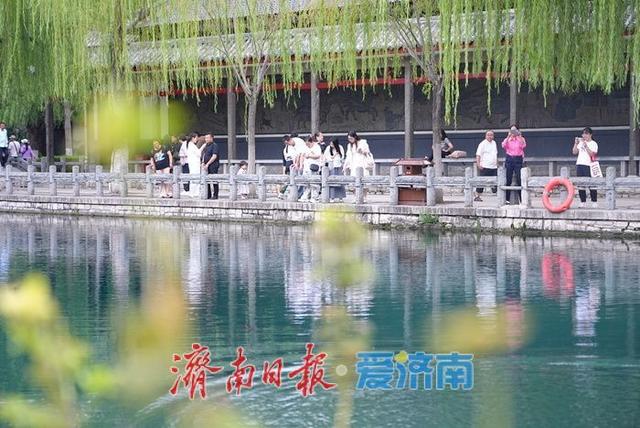 秋雨润泉！济南“泉水游”持续在线