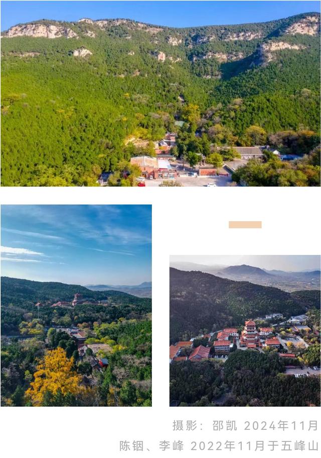 济南的秋天，大电影质感！