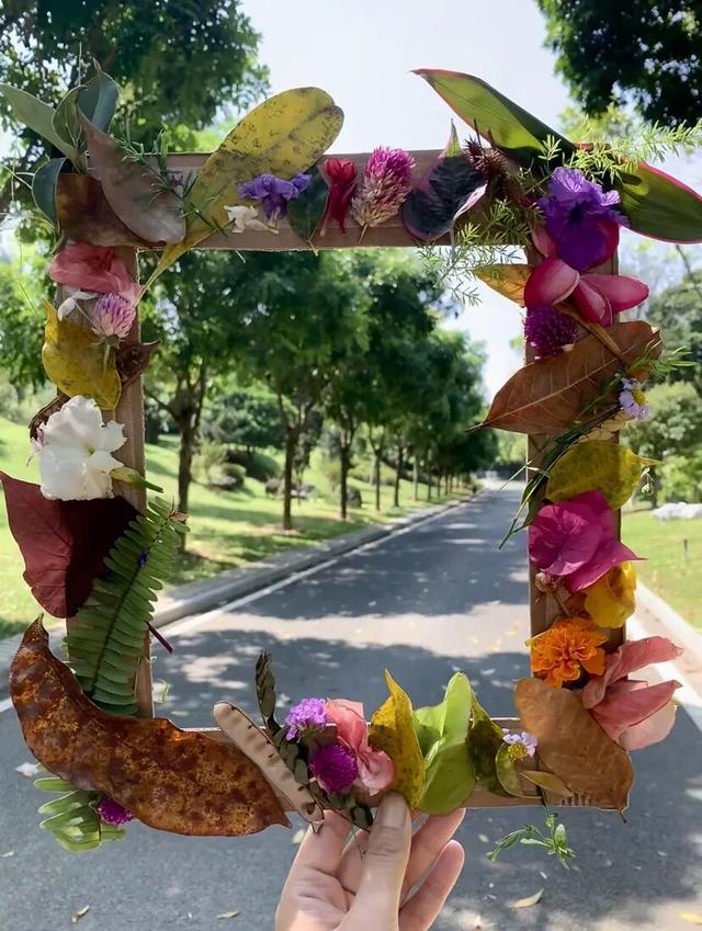 最美松湖 | 烦恼No，捡秋Go！来这里一键切换治愈模式