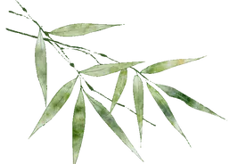 清明假期，高速免费时间+避堵指南！图片