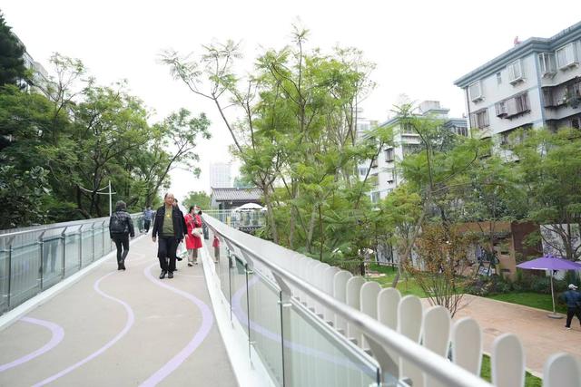 昆明翠湖城市绿道开放，620米的空中栈道串联起民生温度与城市风情
