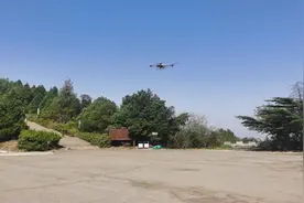 陕州区：无人机喷药防治林木病虫害图片