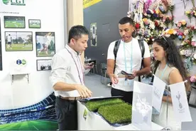 热刺俱乐部联名款人造草坪在广交会上大放异彩 湖北绿城让“荆州造”名扬海内外图片
