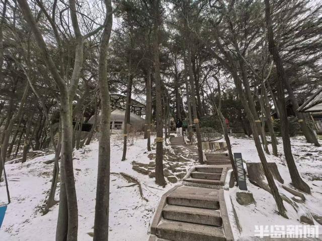 红瓦绿树，白雪皑皑