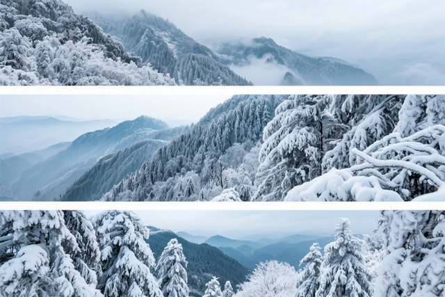 银色世界，雪中禅意：峨眉山的冬天美成了佛国仙境