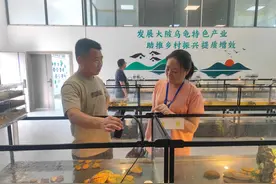 韶关浈江：“小驿站”助推龟鳖变身“大产业”图片