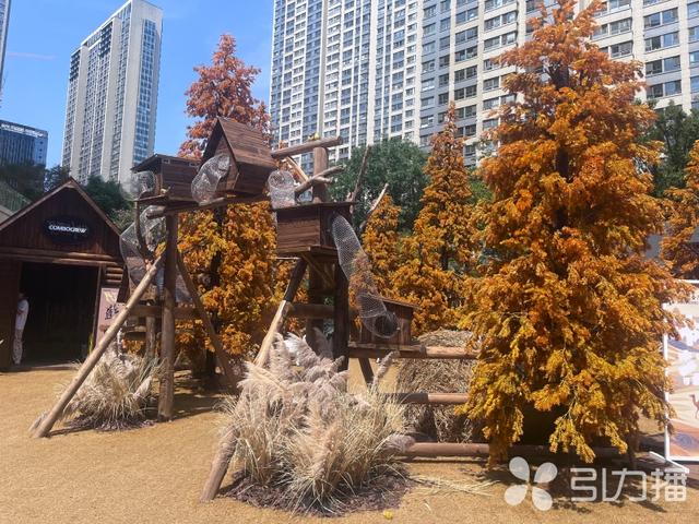 秋日打卡去哪？“山下旷野牧场”解锁“苏州阿勒泰”浪漫