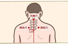袅袅秋风起，处暑节气怎么养生？图片