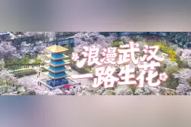 来樱花邮局，带走您的专属赏花记忆图片