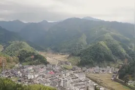 湖南洞口：冬笋俏销  笋农采挖忙图片