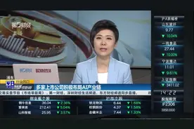 全球首个程序员全面开放 AI Agent商业化元年蓄势待发|行业风口视频封面