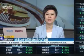 全球首个程序员全面开放 AI Agent商业化元年蓄势待发|行业风口视频封面