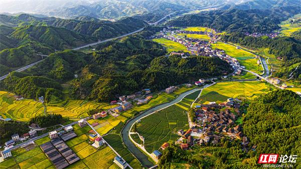 湖南通道侗寨：金秋“丰”景，藏在山水间的诗意画卷