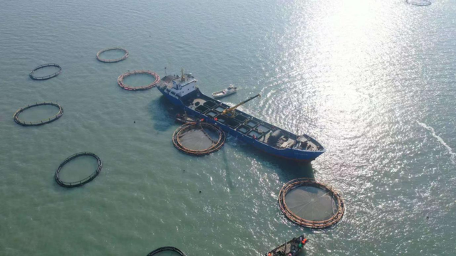 山海添新卷！新华社接连聚焦日照