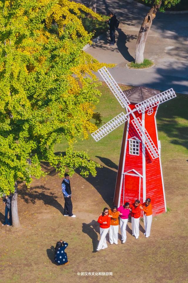 实况！武汉彩叶季来了，这些地方最出片