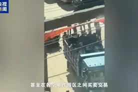 中国人被称为“猪仔”遭反复买卖，园区到处都有喷溅血迹……缅北电诈犯罪细节曝光图片