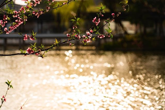 十日谈·为春天存档