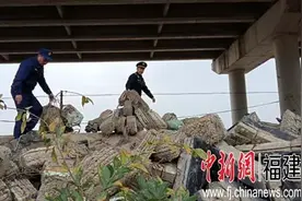 高速公路桥下“别有洞天”？拆拆拆！图片