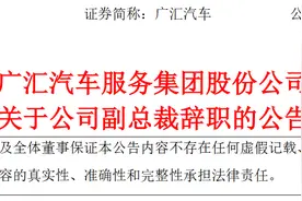 广汇汽车服务集团股份公司副总裁卢翱辞职图片