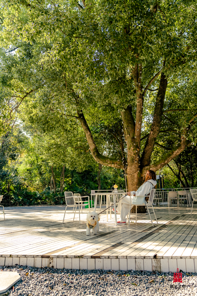 抓住晴天尾巴，徒步青龙山！