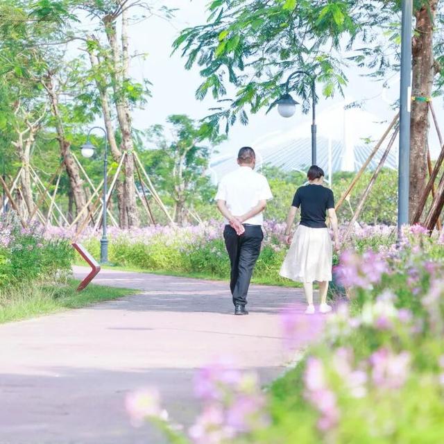 15000㎡花海！免费打卡！珠海人约起来！