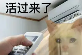 救命！这个夏天的电费账单引热议！上海网友：查完我默默关了空调……图片