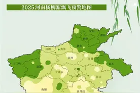 从南向北开始飘飞 河南飞絮高发季预计将持续到5月图片