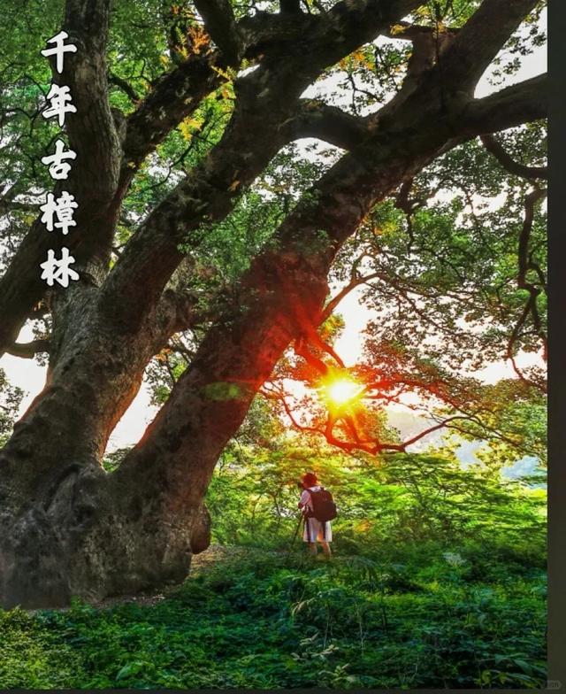 立秋暑未消？江西这些地方藏着 25℃的清凉